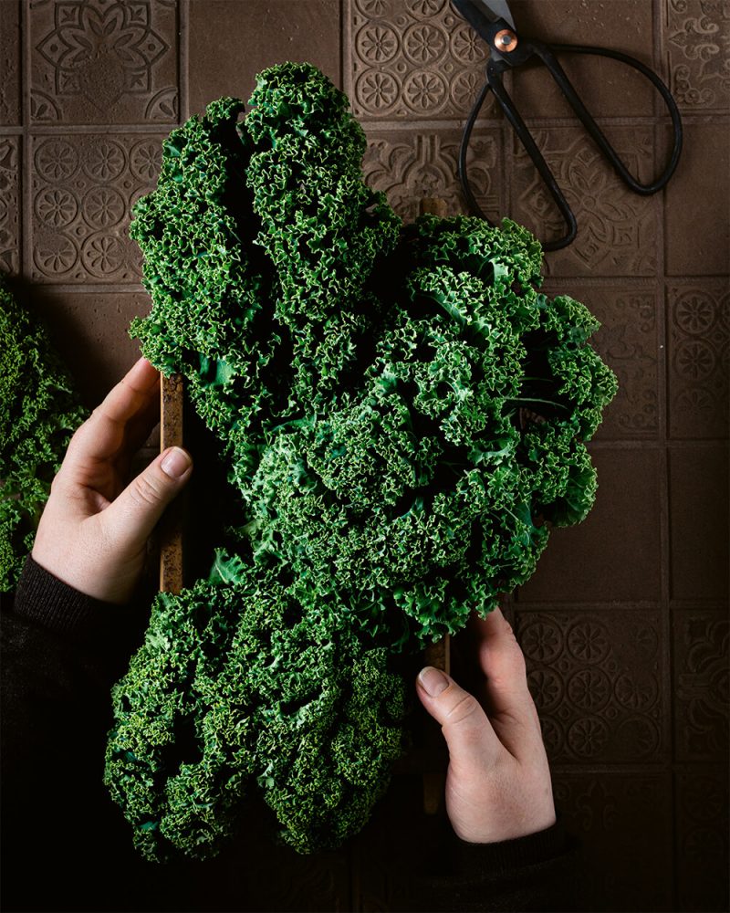 Grünkohl - Wraps mit Avocadocreme – Kaleidoscopic Kitchen