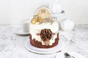 Bauernhof Torte als Geburtstagstorte im Highland Cow Cake Stil